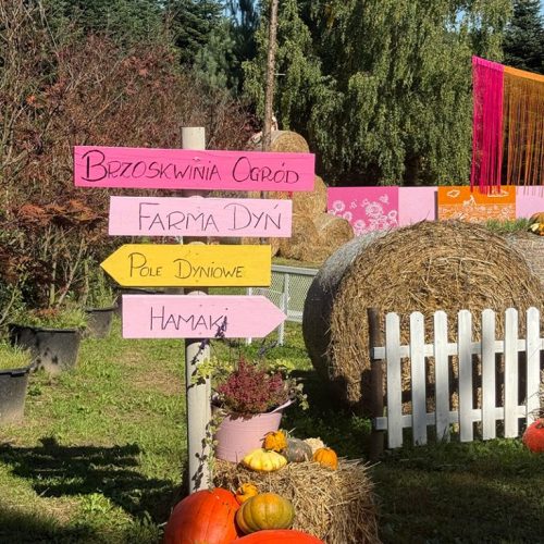 Brzoskwinia-Ogrod-farma-dyn