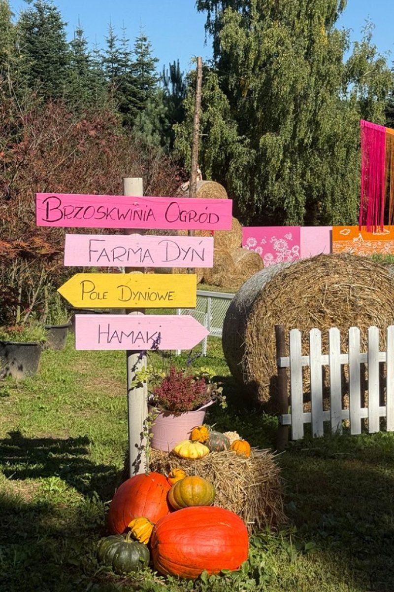 Brzoskwinia-Ogrod-farma-dyn