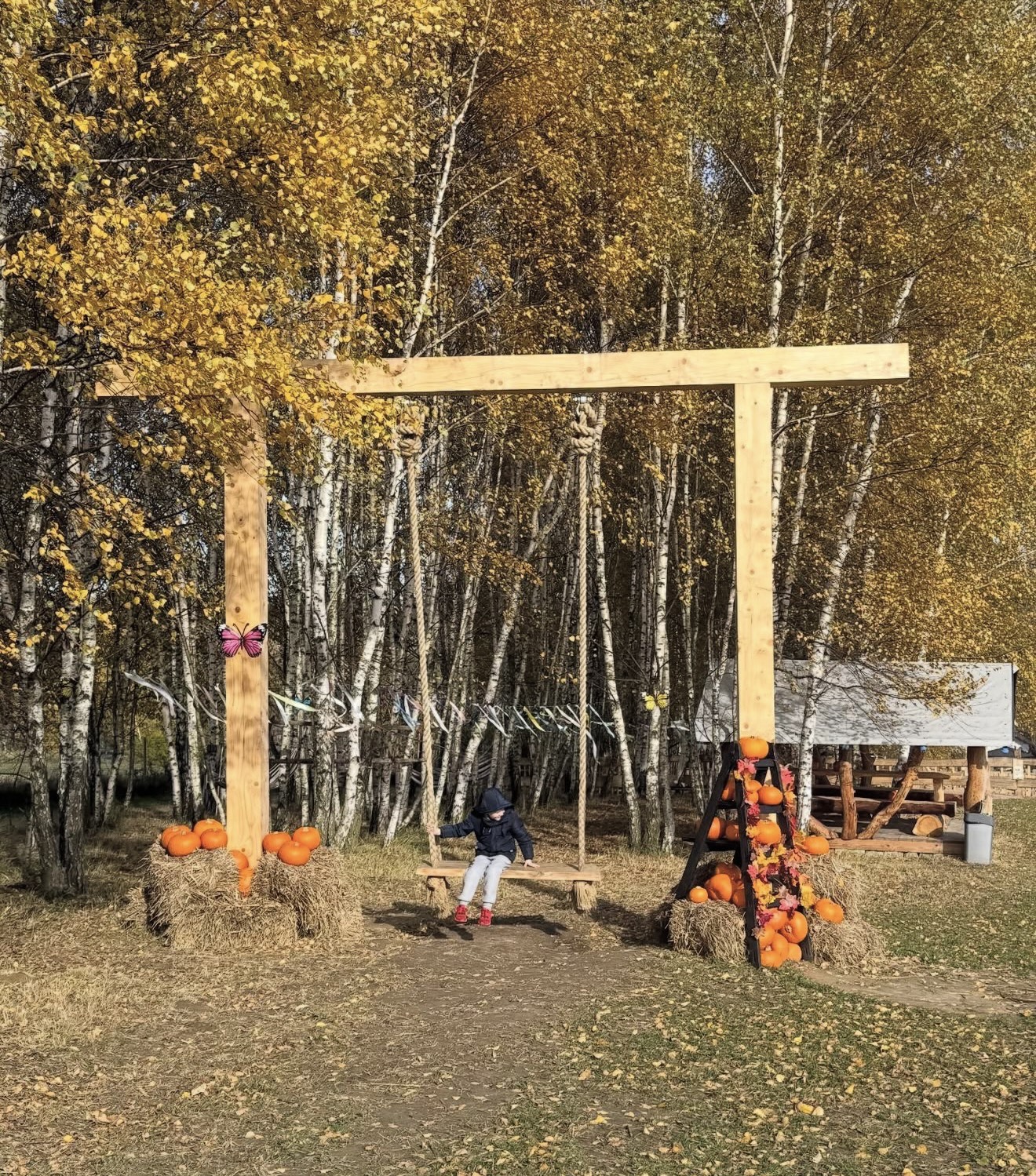 Pomysł na jesienną wycieczkę?